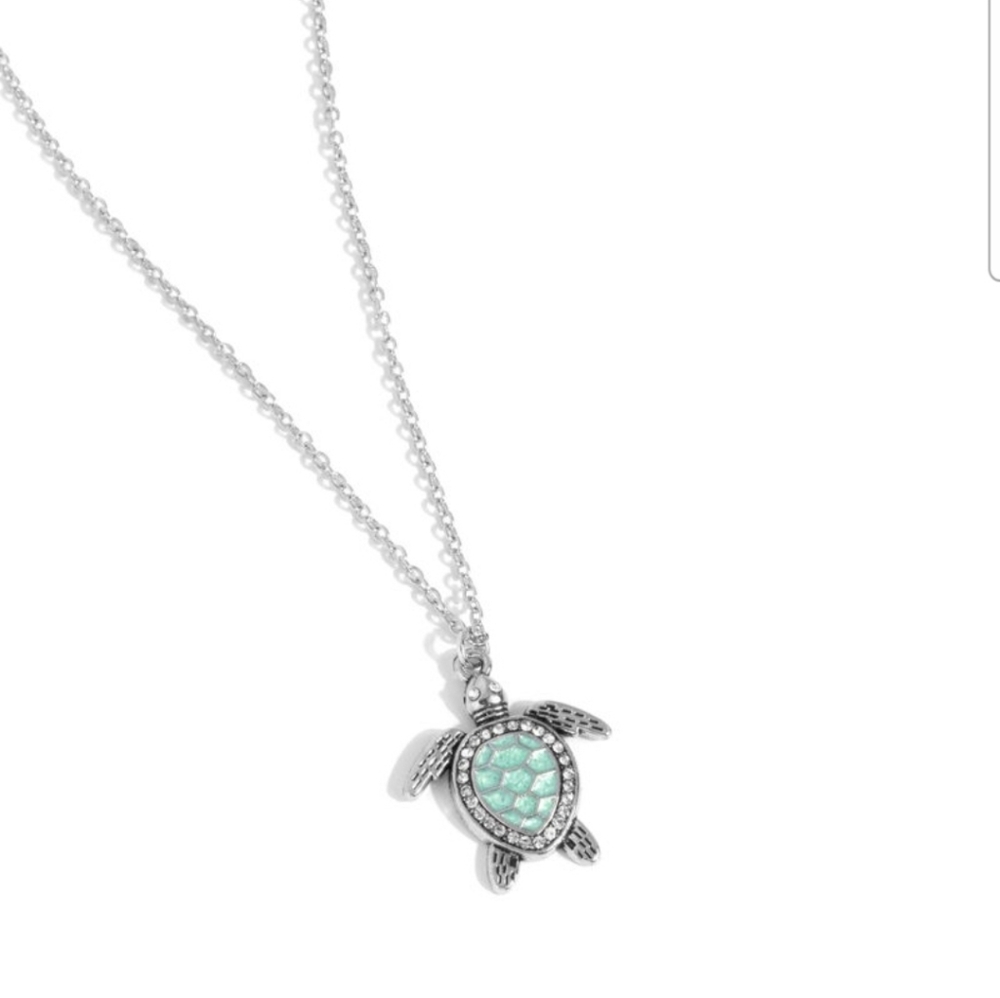 Turtle Tourist Necklace With Fish Hook Earrings